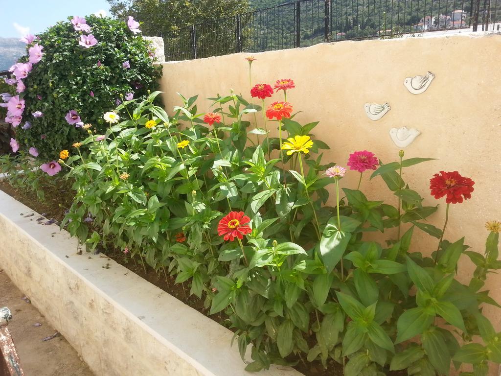 Apartment Mare S Mora Mokošica Dış mekan fotoğraf